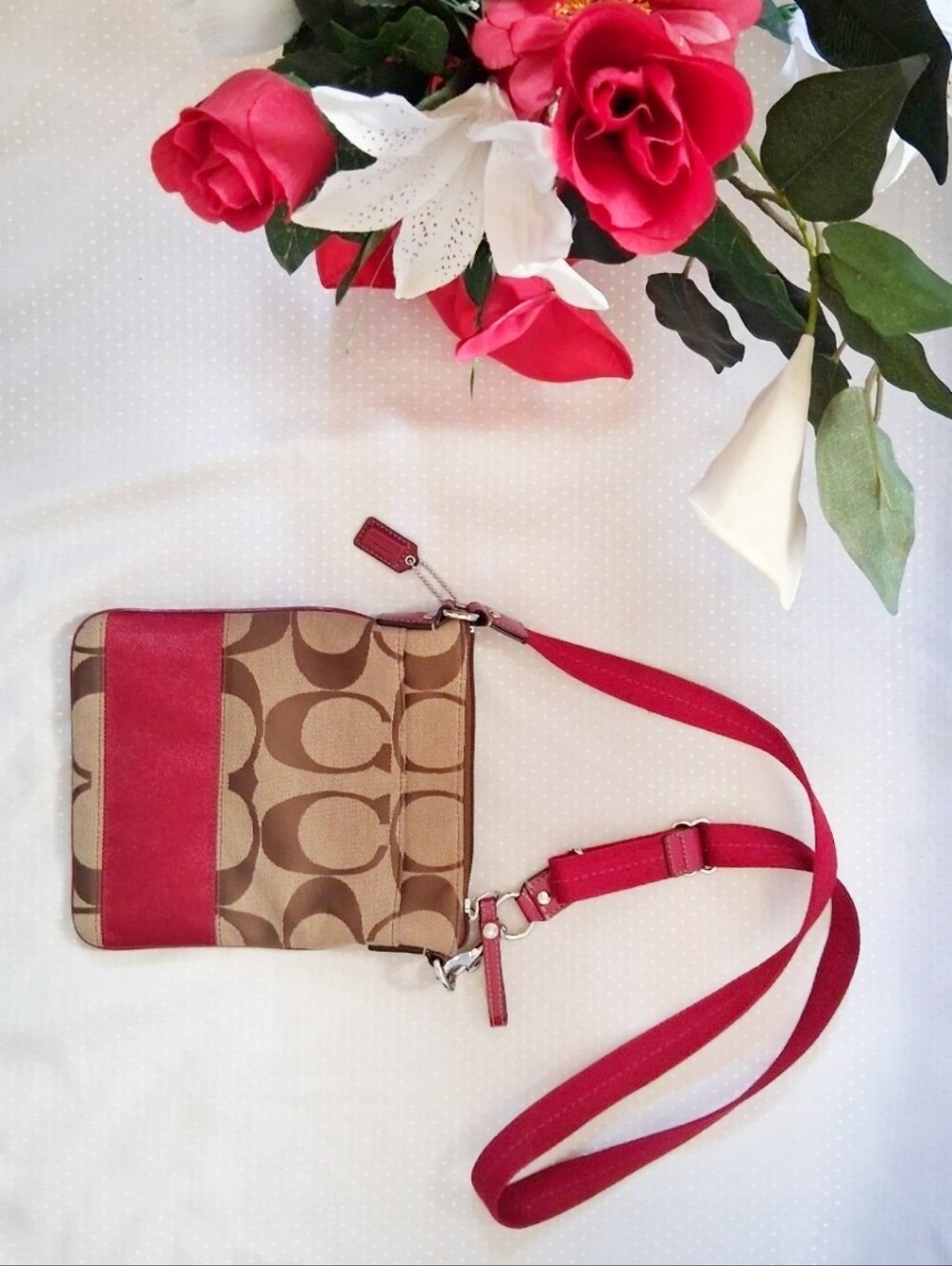 COACH Signature Logo Small Zip Crossbody Bag